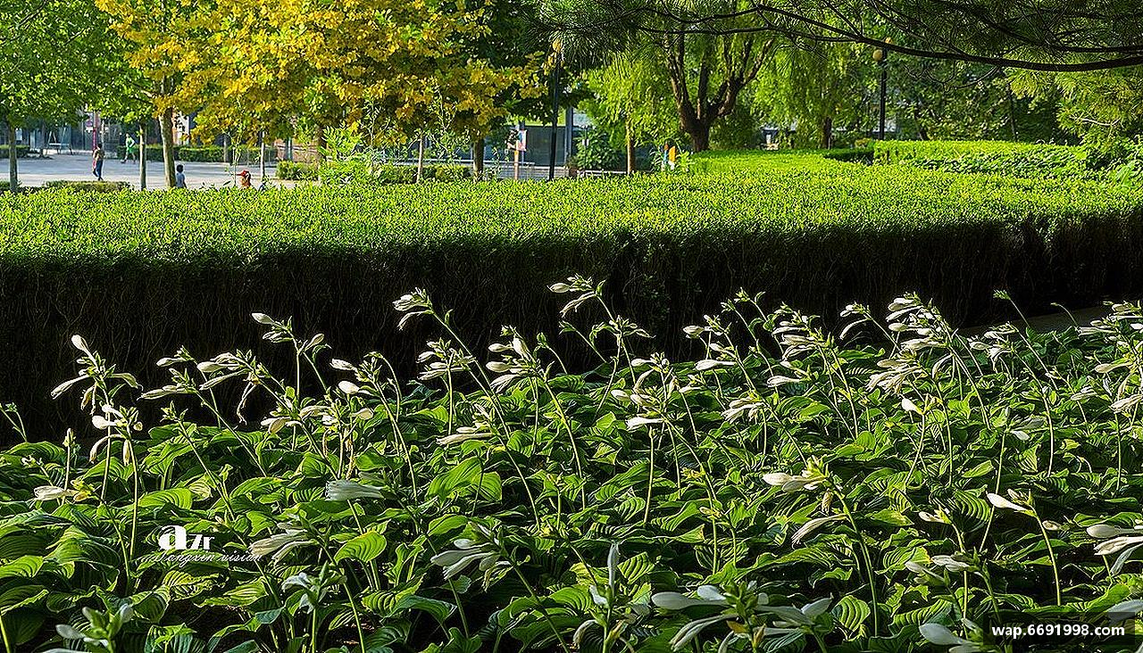 多宝电竞官网激情火热，精益求精